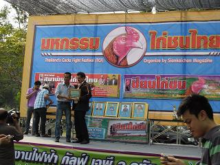 fighting cock ไก่ชน ชนไก่