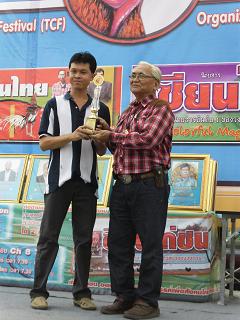 fighting cock ไก่ชน ชนไก่