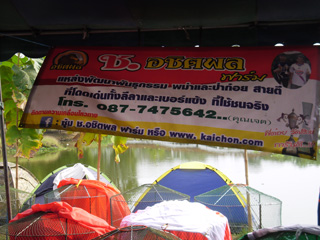 ไก่ชน