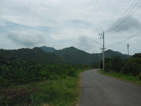 มหาลาภ